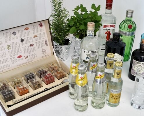 Erlebnispakete 3 Cocktails Erlebnispakete Gin Tasting 6 495X400 1